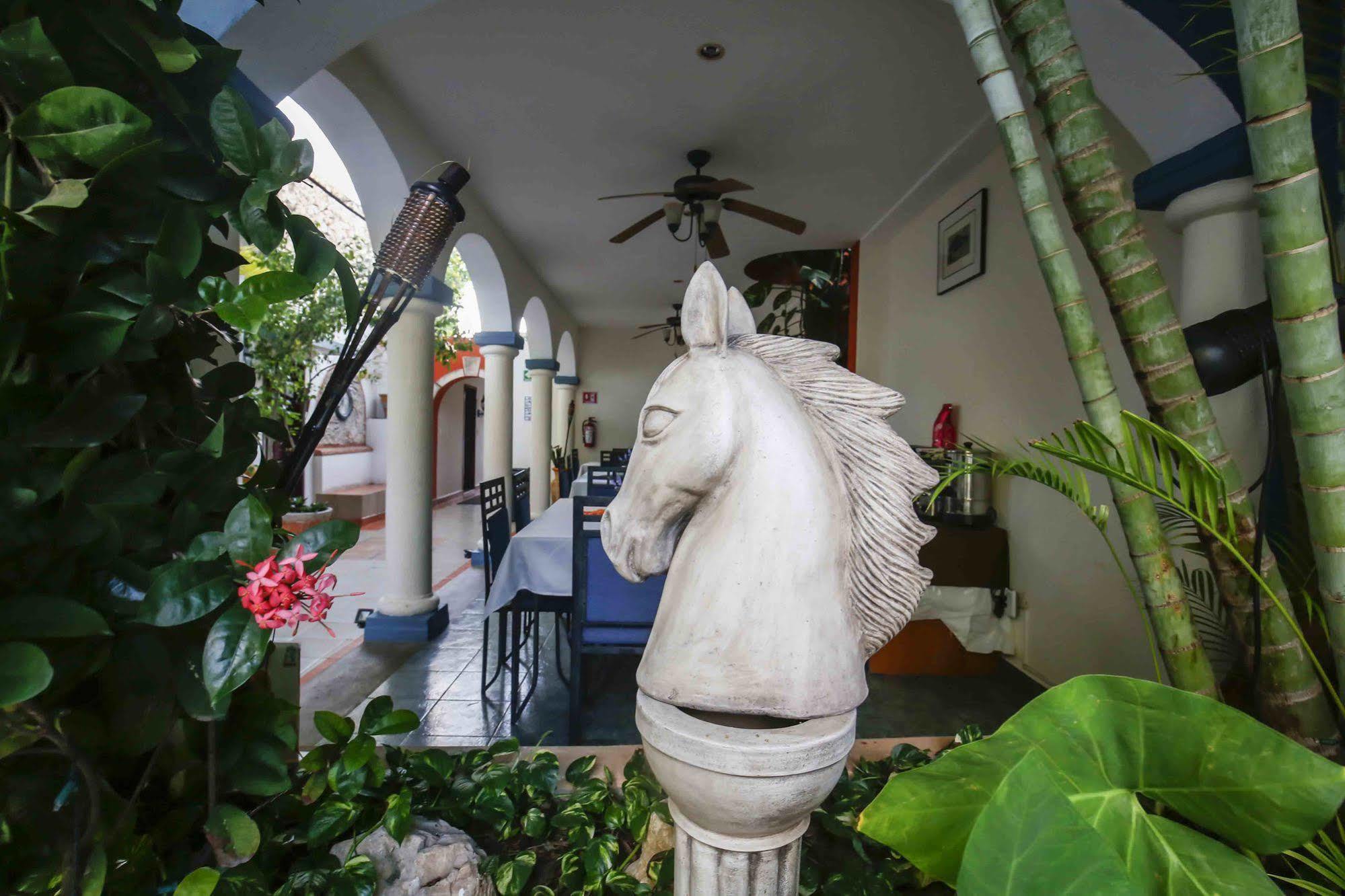 Hotel Zamna Boutique Merida Exterior photo